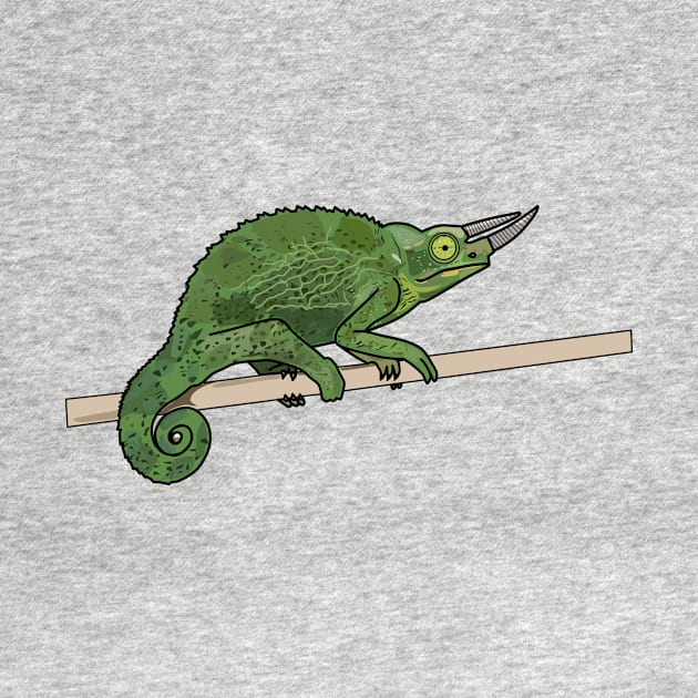 Jackson's chameleon cartoon illustration by Miss Cartoon